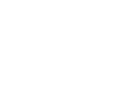 White RBX logo
